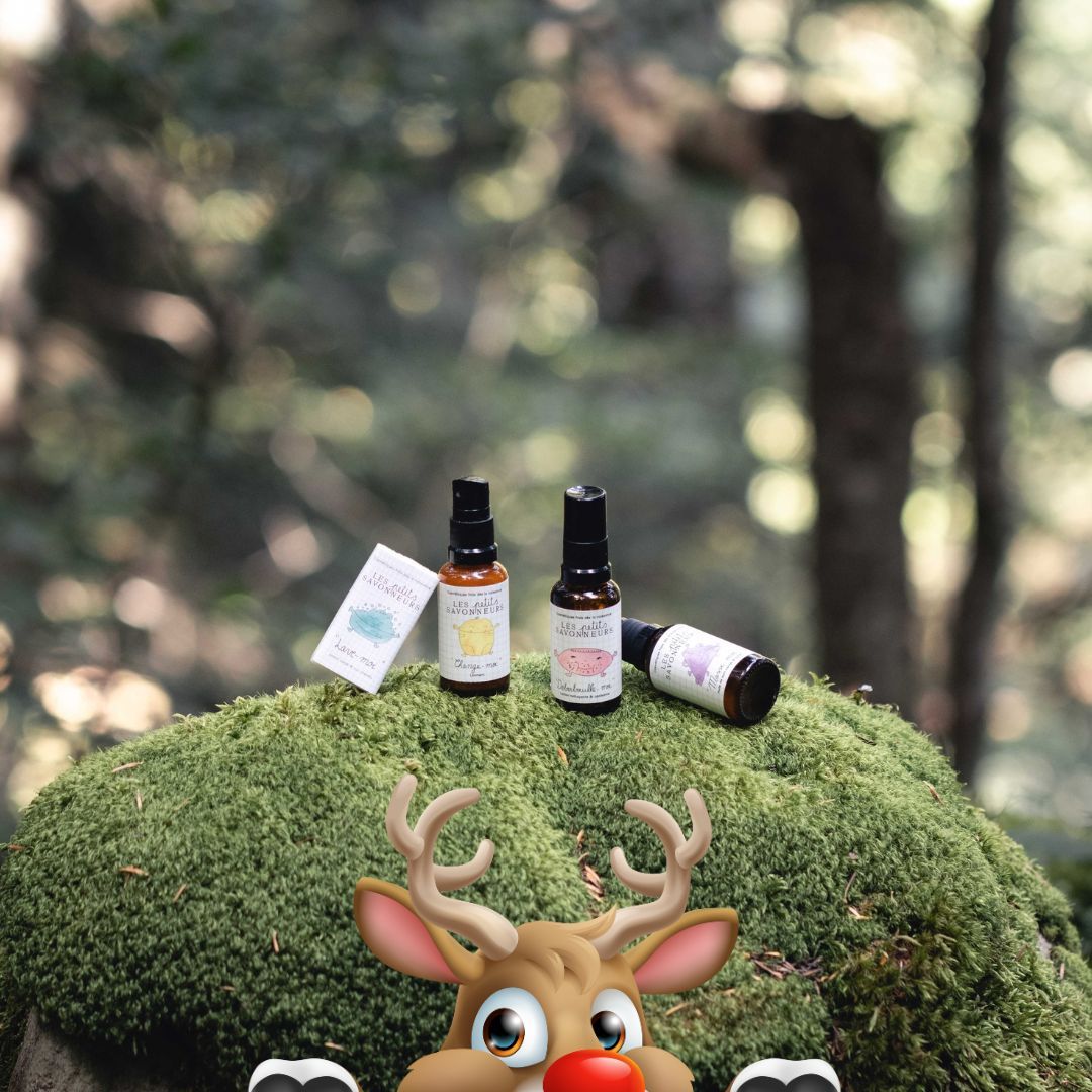 Komplettes Entdeckungsset